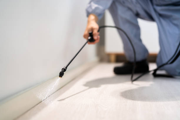 Licensed Mosquito Control service in Calais, ME - Show Me Pest Control