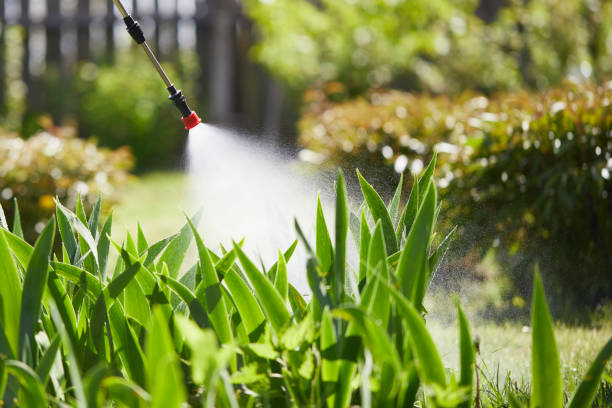 24/7 Emergency Mosquito Control experts in Calais, ME