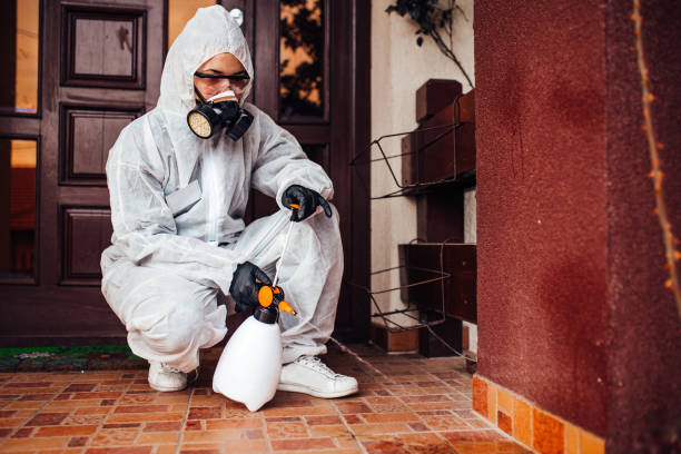 Reliable Mosquito Control contractor in Calais, ME by Show Me Pest Control