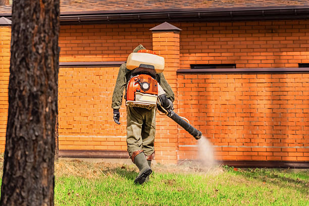 Top rated local Mosquito Control specialists in Calais, ME